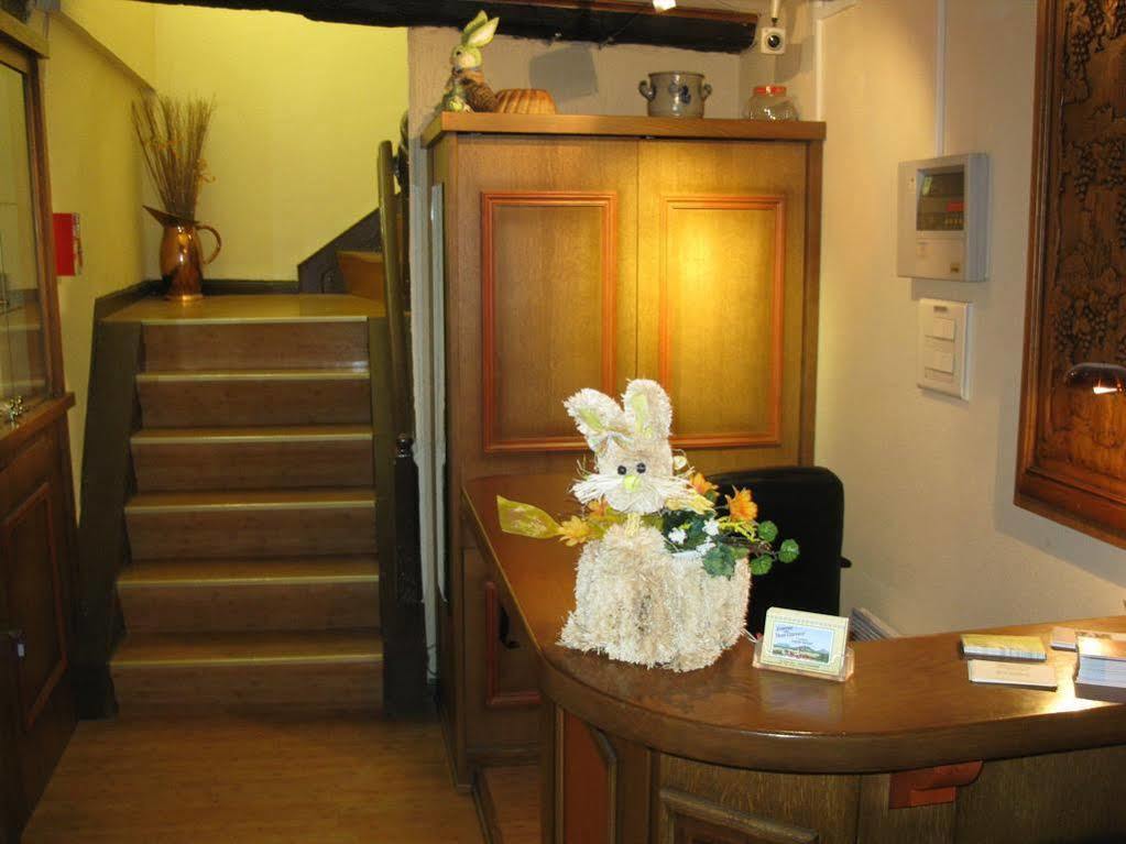 德斯洛伊斯城堡酒店 埃圭斯海姆 外观 照片